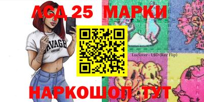 индика Малгобек