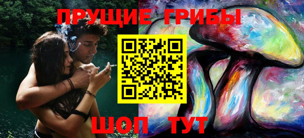 Грозный  Псилоцибиновые грибы ЛСД  Вход с VPN 